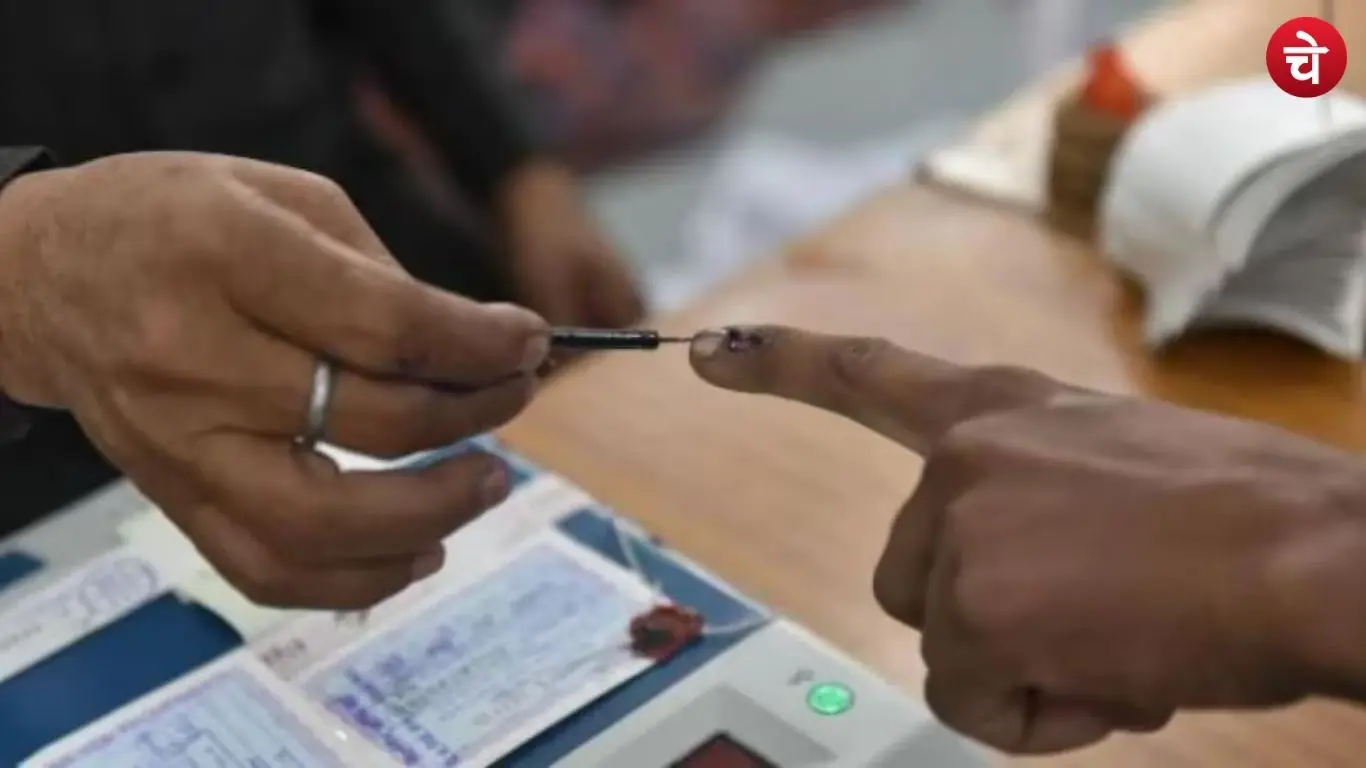 Voting for the Teachers MLC election